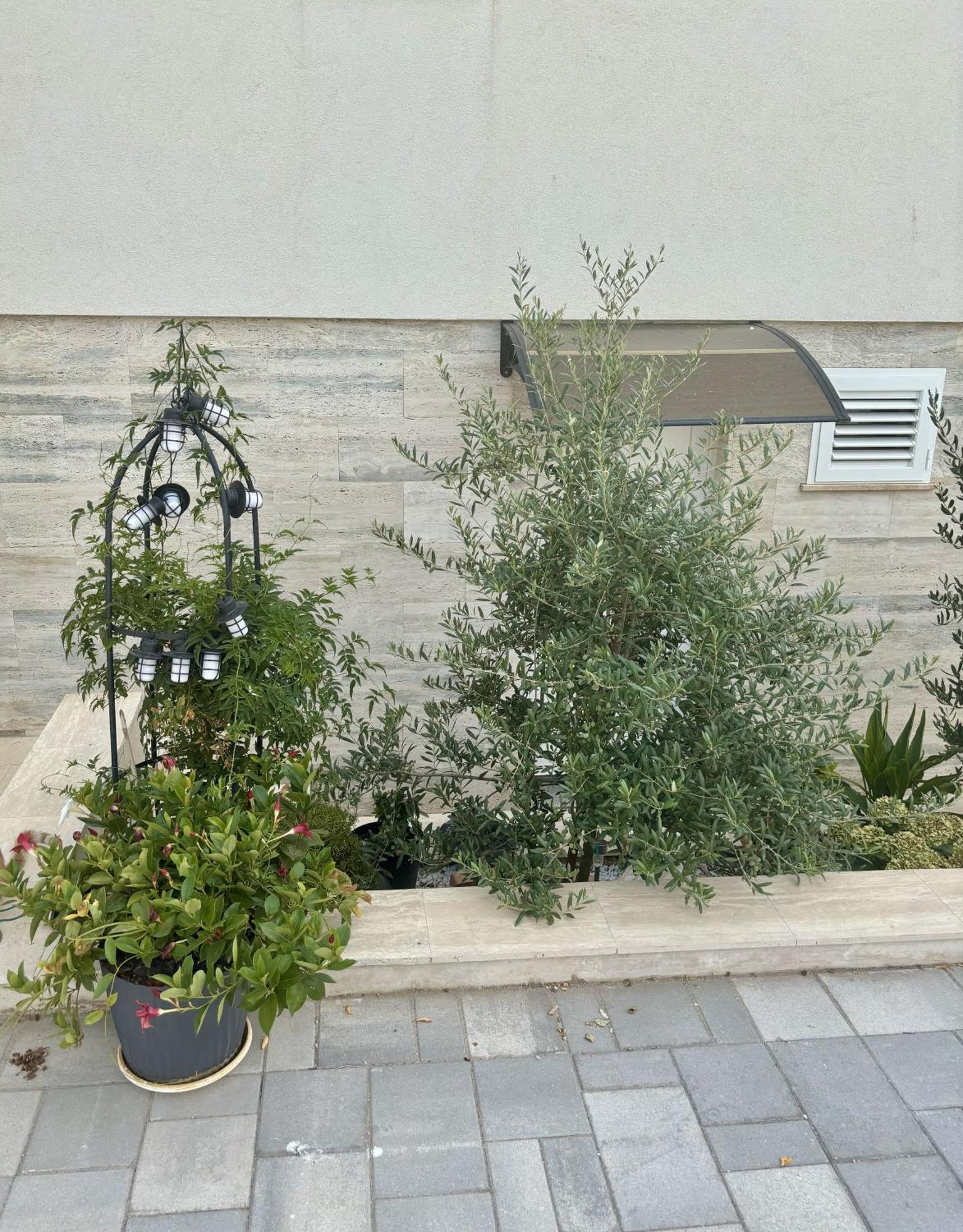 Vila Regina Apartment Rex With Swimming Pool Jezera Bagian luar foto