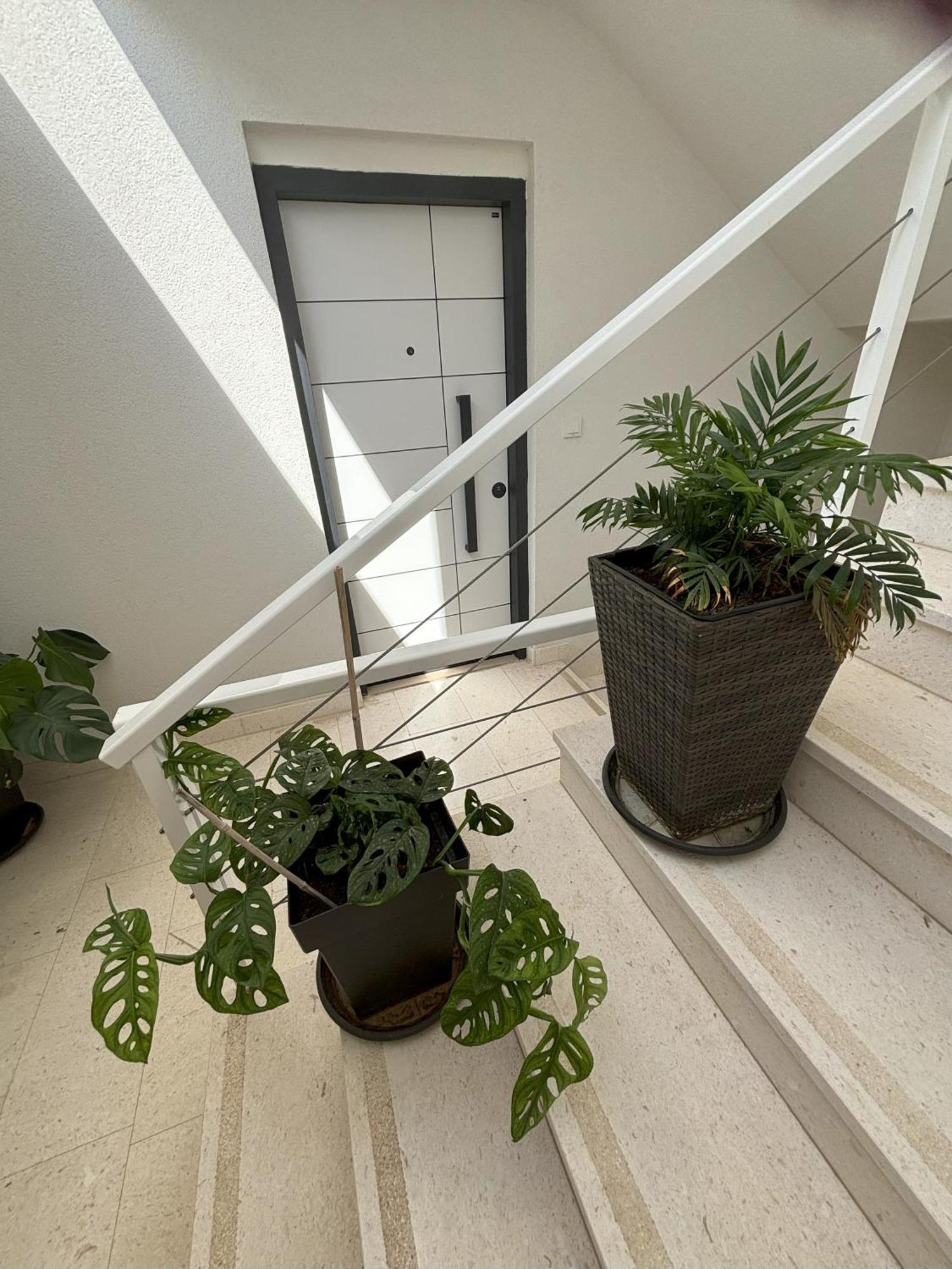 Vila Regina Apartment Rex With Swimming Pool Jezera Bagian luar foto